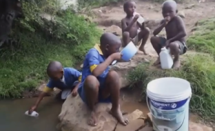 afrika 1